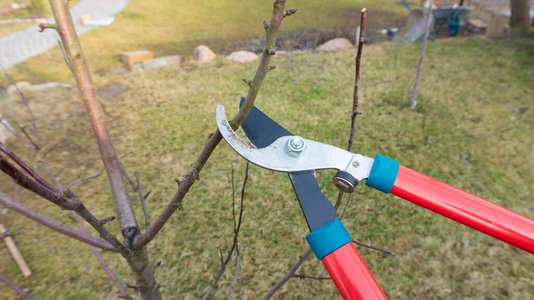 Gartenschere